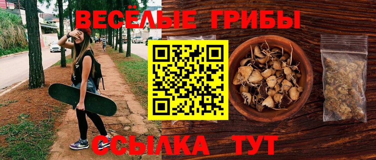 Псилоцибиновые грибы MAGIC MUSHROOMS Гатчина