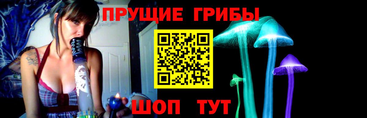 Гатчина  Псилоцибиновые грибы прущие грибы  Вход с VPN  Псилоцибиновые грибы GOLDEN TEACHER 